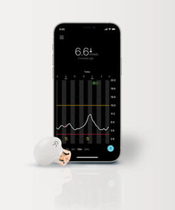 Medtronic Guardian Connect System